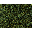 szalas-zold-tea