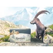 Goldmännchen Alpengipfel gyógytea
